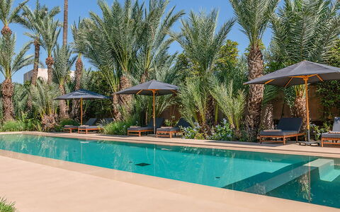 Dar Sun: Piscina, Recurso, Eco Hotel, Mueble Para Exteriores, Hacienda, Sunlounger, Hotel, Inmuebles, Villa