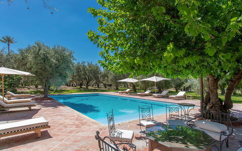 Villa Royale: Piscina, Recurso, Mueble Para Exteriores, Sombra, Inmuebles, Jardín, Hacienda, Paisajismo, Villa, Piscina De Reflejo