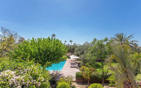 Villa Royale: Arbusto, Recurso, Jardín, Piscina, Paisajismo, Hacienda, Inmuebles, Eco Hotel, Sombra