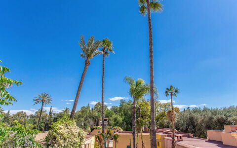 Villa Royale: Azul, Árbol, Vegetación, Plantas Leñosas, Zona Tropical