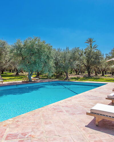 Villa Royale: Azul, Piscina, Recurso, Sombra, Paisajismo, Jardín, Eco Hotel, Mueble Para Exteriores, Hacienda