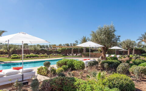 Villa Delizia: Jardín, Recurso, Piscina, Paisajismo, Hacienda, Sombra, Césped, Inmuebles, Eco Hotel