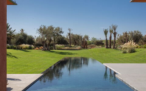 Villa Palmeraie: Reflexión, Piscina, Paisajismo, Estanque, Piscina De Reflejo, Sombra, Fuente De Agua