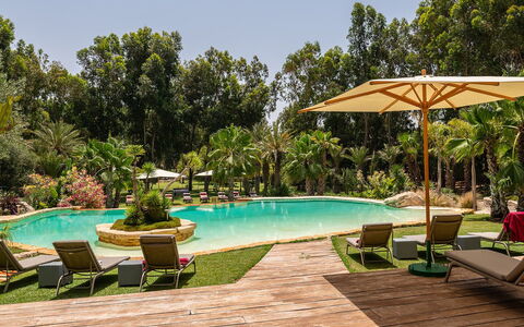 Le Jardin Mogador: Árbol, Piscina, Recurso, Jardín, Eco Hotel, Paisajismo, Sombra, Hacienda, Inmuebles