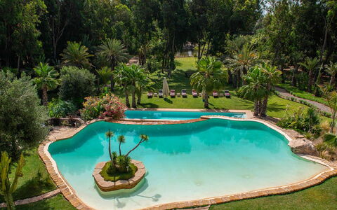 Le Jardin Mogador: Piscina, Agua, Árbol, Recurso, Jardín, Ocio, Fuente De Agua, Eco Hotel, Paisajismo, Hacienda
