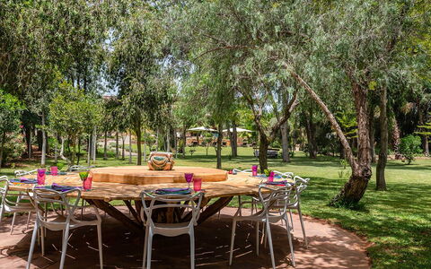 Le Jardin Mogador: Árbol, Mueble, Jardín, Sombra, Césped, Mueble Para Exteriores, Parque, Patio Interior, Silla, Yarda