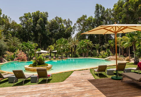 Le Jardin Mogador: Árbol, Piscina, Recurso, Jardín, Eco Hotel, Paisajismo, Sombra, Hacienda, Inmuebles