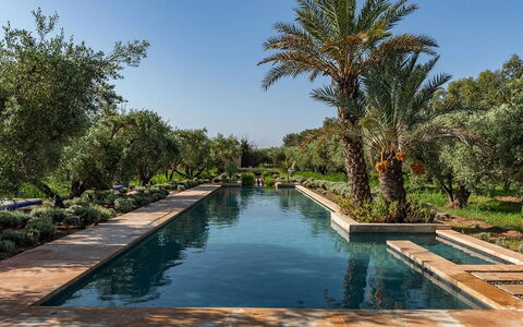 Dar Moon: Agua, Piscina, Reflexión, Jardín, Recurso, Piscina De Reflejo, Fuente De Agua, Hacienda, Paisajismo, Inmuebles