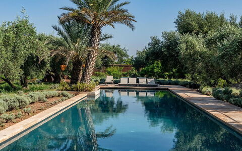 Dar Moon: Piscina, Reflexión, Recurso, Jardín, Piscina De Reflejo, Hacienda, Paisajismo, Inmuebles, Fuente De Agua