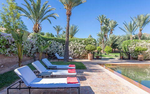 Villa Exotic: Piscina, Recurso, Mueble Para Exteriores, Jardín, Paisajismo, Eco Hotel, Hacienda, Sombra, Sunlounger