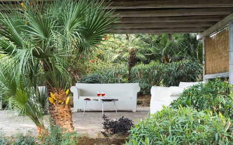 Villa Milo: Vegetación, Arbusto, Jardín, Planta De La Comunidad, Mueble Para Exteriores, Sombra, Paisajismo, Patio Interior, Eco Hotel
