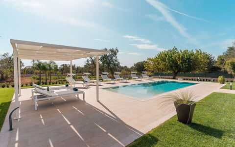 Villa Il Gelsomino: Piscina, Árbol, Mueble Para Exteriores, Jardín, Recurso, Sombra, Paisajismo, Sunlounger, Ocio