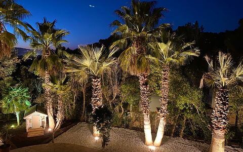 Villa Joel: Noche, Jardín, La Iluminación Del Paisaje, Plantas Leñosas, Paisajismo