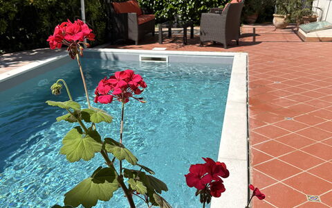 Villa Ava: Maceta, Piscina, Jardín, Sombra, Planta De Casa, Paisajismo, Patio Interior, Yarda, Fuente De Agua
