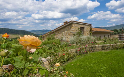 Villa del Fattore: Colina, Paisaje, Nube, Arbusto, Área Rural, Cabaña, Casa De Campo, Jardín, Prado