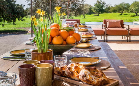 Villa del Sole: Vajilla, Mueble, Comida, Mesa, Utensilios Para Servir, Fruta, Maceta, Vajilla, Drinkware, Plato
