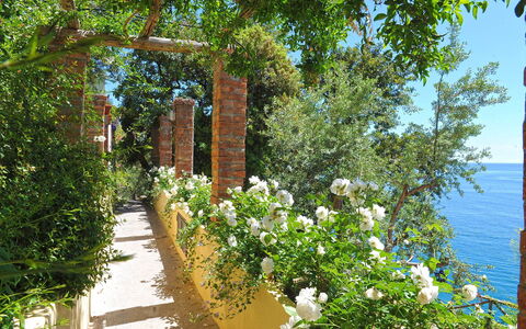 Casa la Riva: Flor, Arbusto, Primavera, Jardín, Familia De Las Rosáceas, Cerca, Jardín Botánico