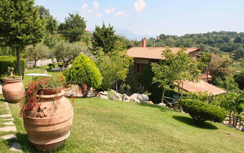 The Sea Farmhouse: Paisaje, Arbusto, Jardín, Área Rural, Césped, Paisajismo, Patio Interior, Yarda, Sombra