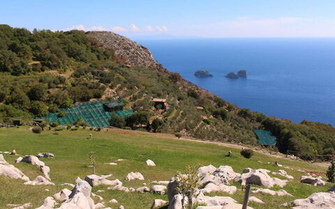 The Sea Farmhouse: Klippe, Mar, Terreno, Costeras Y Los Accidentes Geográficos Oceánico, Costa, Oceano, Hill Station, Promontorio, Promontorio