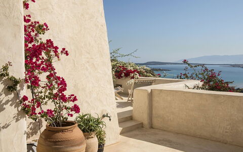Villa Mycenaean: Flor, Maceta, Rosado, Pétalo, Planta De Casa, Cortar Flores, Floristas, Jardín, Diseño Floral