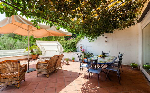 Casa Dorothea 2: Mueble, Maceta, Mesa, Silla, Mueble Para Exteriores, Planta De Casa, Mesa Al Aire Libre, Jardín, Cocina Y Comedor Mesa, Patio