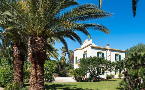 Green Villa: Azul, Árbol, Vegetación, Plantas Leñosas, Sombra, Paisajismo, Zona Tropical