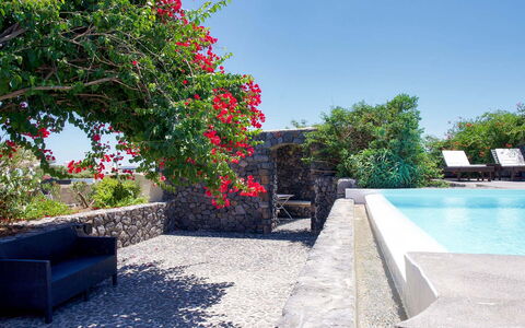 Mansion Kyani: Arbusto, Maceta, Jardín, Losa, Sombra, Paisajismo, Recurso, Planta De Casa, Hacienda