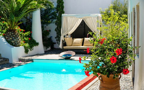 Mansion Sophia: Piscina, Maceta, Recurso, Eco Hotel, Mueble Para Exteriores, Planta De Casa, Sombra, Ocio, Jardín
