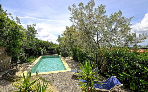 Villa del Mare: Azul, Arbusto, Jardín, Paisajismo, Patio Interior, Piscina, Sombra, Yarda, Fuente De Agua, Pasarela
