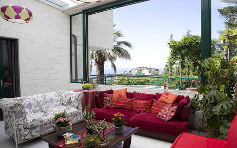 Villa Felicia: Mueble, Sofá, Diseño De Interiores, Sala, Mesa, Casa, Maceta, Arrojar La Almohada