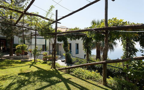 Villa Felicia: Sombra, Jardín, Patio Interior, Yarda, Paisajismo, Hacienda, Pérgola, Estructura Al Aire Libre, Patio, La Luz Del Día