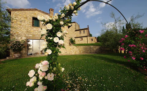 Villa Incanto: Flor, Pétalo, Primavera, Jardín, Rosas De Jardín, Familia De Las Rosáceas, Floristas, Paisajismo, Rosa
