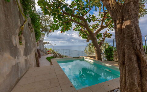 Villa Magnolia: Mar, Piscina, Oceano, Costa, Recurso, Ocio, Vacaciones, Sombra, Zona Tropical, Eco Hotel
