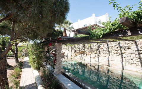 Villa Oasis: Jardín, Sombra, Paisajismo, Patio Interior, Losa, Patio, Yarda, Fuente De Agua, Pasarela, Piscina