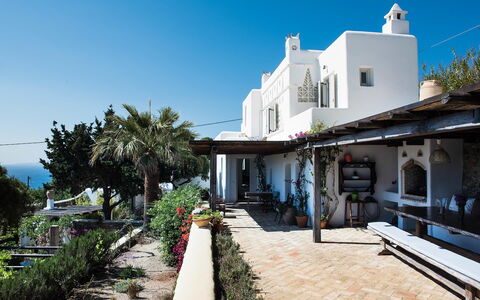 Villa Oasis: Maceta, Balcón, Planta De Casa, Silla, Recurso, Villa, Eco Hotel, Hacienda, Mueble Para Exteriores
