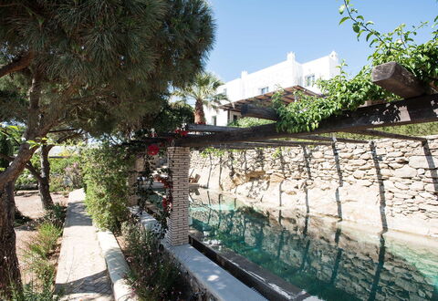 Villa Oasis: Jardín, Sombra, Paisajismo, Patio Interior, Losa, Patio, Yarda, Fuente De Agua, Pasarela, Piscina