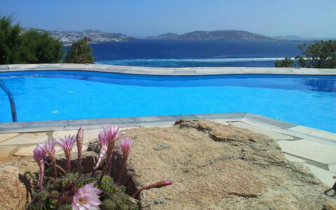 Villa Rose 1: Azul, Agua, Piscina, Mueble Para Exteriores, Recurso, Costa, Zona Tropical, Sombra, Ciudad De Vacaciones, Eco Hotel