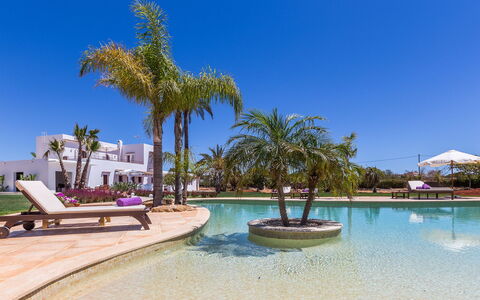 Villa Violet: Piscina, Recurso, Hacienda, Eco Hotel, Paisajismo, Jardín, Villa, Ciudad De Vacaciones, Sombra