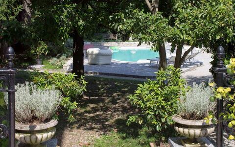 Villa Virginia: Arbusto, Jardín, Maceta, Sombra, Primavera, Paisajismo, Losa, Patio Interior, Yarda