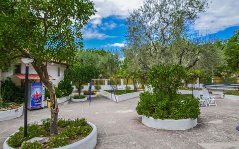 Casa Primavera: Plantas Leñosas, Sombra, Jardín, Paisajismo, Yarda, Hacienda, Entrada De Coches, Patio, Patio Interior