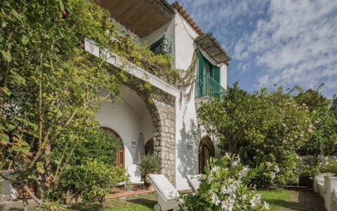 Villa Olivia: Arbusto, Hacienda, Inmuebles, Jardín, Villa, Paisajismo, Patio, Planta De Casa, Mansión, Arcade