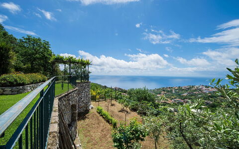 Villa Tortuga: Horizonte, Paisaje, Mar, Oceano, Cerca, Fotografía De Archivo
