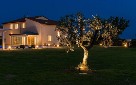 Villa Monsummano: Azul, Casa, Jardín, Césped, Oscuridad, Noche, Yarda, Inmuebles, Noche, Patio Interior