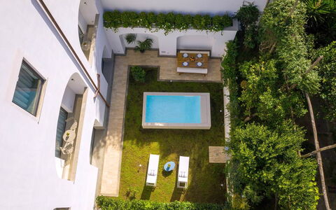 Jacaranda House: Departamento, Piscina, Casa, Patio, Inmuebles, Diseño, Paisajismo, Hotel, Yarda, Patio Interior