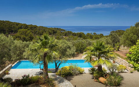 Villa Mallorca: Azul, Zona Tropical, Costa, Piscina, Recurso, Bahía, Eco Hotel, Caribe