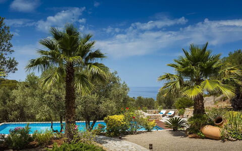 Villa Mallorca: Azul, Vegetación, Recurso, Jardín, Zona Tropical, Eco Hotel, Sombra, Paisajismo, Piscina