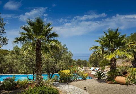 Villa Mallorca: Azul, Vegetación, Recurso, Jardín, Zona Tropical, Eco Hotel, Sombra, Paisajismo, Piscina