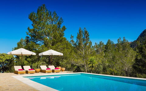 Villa Carlos: Azul, Piscina, Sombra, Eco Hotel, Recurso, Alerce, Familia De Pino, Hojas Perennes