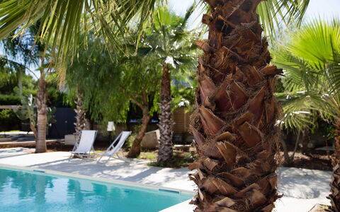 Villa Salentina: Piscina, Plantas Leñosas, Recurso, Eco Hotel, Sombra, Zona Tropical