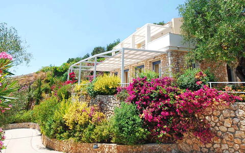 Villa Aspro: Flor, Arbusto, Jardín, Rosado, Primavera, Paisajismo, Yarda, Jardín Botánico, Balcón, Villa